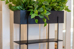 Details-4-Brigadier-052-CMG