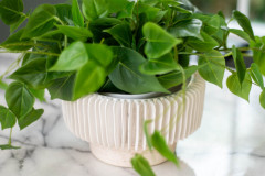 Details-402-Nicholas-Alley-007-CMG