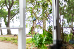 4112-Legacy-Ln-Details-003-CMG