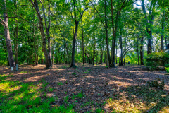 4255-Hope-Plantation-12-CMG