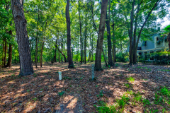 4255-Hope-Plantation-13-CMG