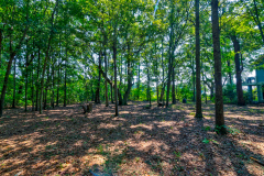 4255-Hope-Plantation-14-CMG