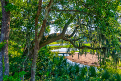 4255-Hope-Plantation-16-CMG