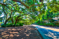 4255-Hope-Plantation-8-CMG