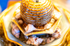 4637-Hagan-Details-037-CMG