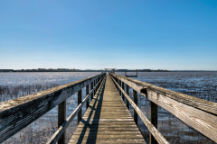 4691-Westervelt-046-CMG