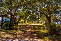 4715-SC-165-Drone-12-CMG