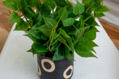 Details-5065-France-017-CMG