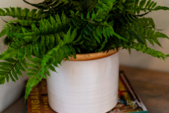 Details-5065-France-033-CMG