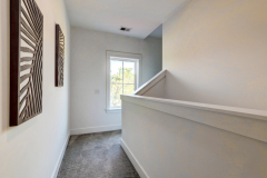 5102-W-Dolphin-12-CMG