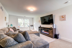 5102-W-Dolphin-3-CMG