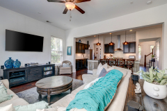 5102-W-Dolphin-37-CMG