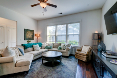 5102-W-Dolphin-39-CMG