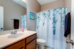 5102-W-Dolphin-8-CMG