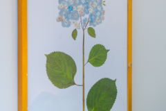 Details-602-Pritchards-Point-34-CMG