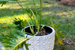 Details-602-Pritchards-Point-72-CMG