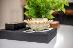 Details-Staging-Charleston-629-Magnolia-014-CMG