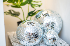 Details-Staging-Charleston-629-Magnolia-052-CMG