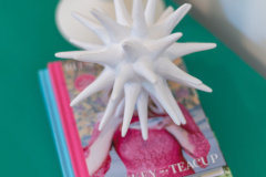 Details-664-Highwood-Circle-97-CMG