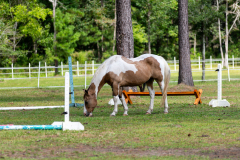 751-Deerhaven-New-Edits-60-CMG