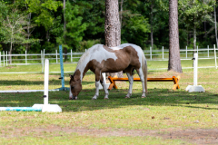 751-Deerhaven-New-Edits-61-CMG