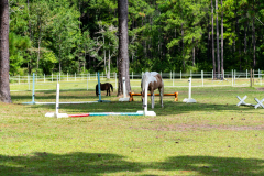 751-Deerhaven-New-Edits-62-CMG