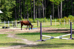 751-Deerhaven-New-Edits-63-CMG