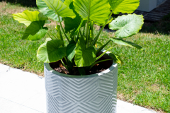 Details-753-Powhatan-087-CMG