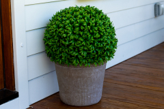 Details-753-Powhatan-090-CMG