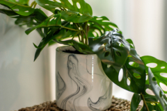 Details-872-Hale-056-CMG