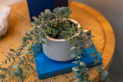 Details-872-Hale-061-CMG