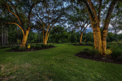 975-Mayfield-Twilight-014-CHS-Media-Group